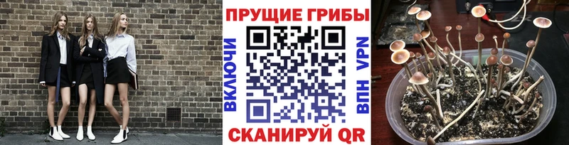 Галлюциногенные грибы Magic Shrooms Звенигород